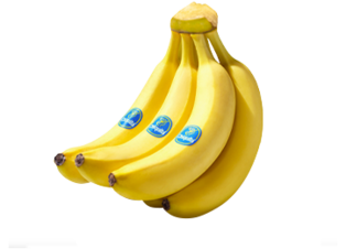 Chiquita